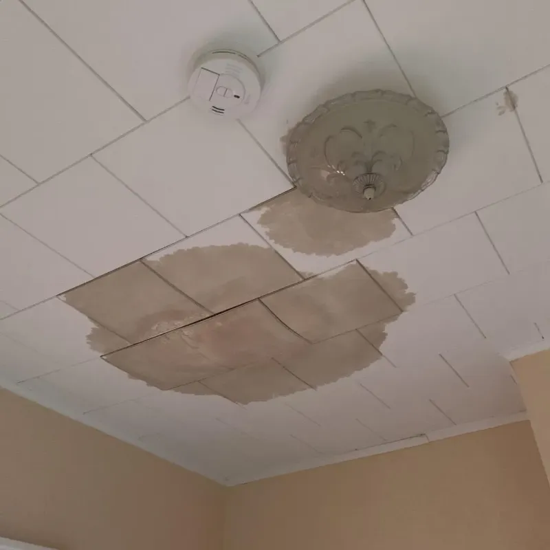 Ceiling Water Damage Repair in Shelby, NC