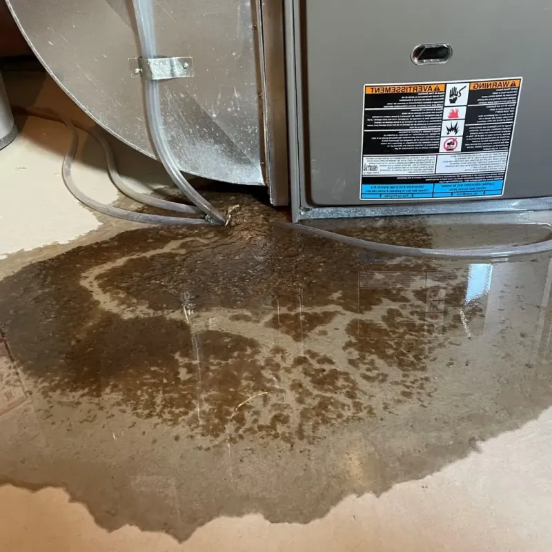 Pipe Burst and Leak Restoration in Shelby, NC
